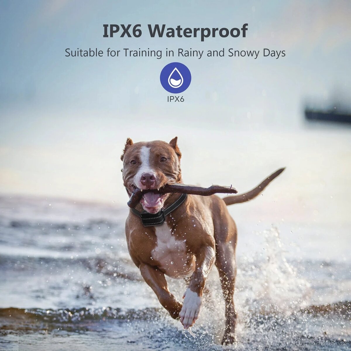 ✅PatPet T720 - 2ks Elektrický, Výcvikový obojek se Zárukou✅ - 5