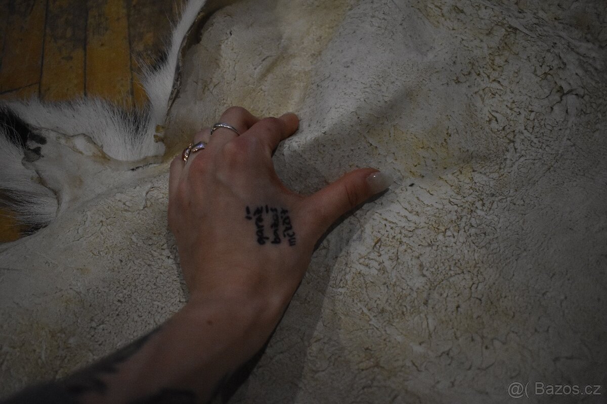 Kožešina daněk 1 - Ručně zpracovaná kožešina z české zvěře - 5
