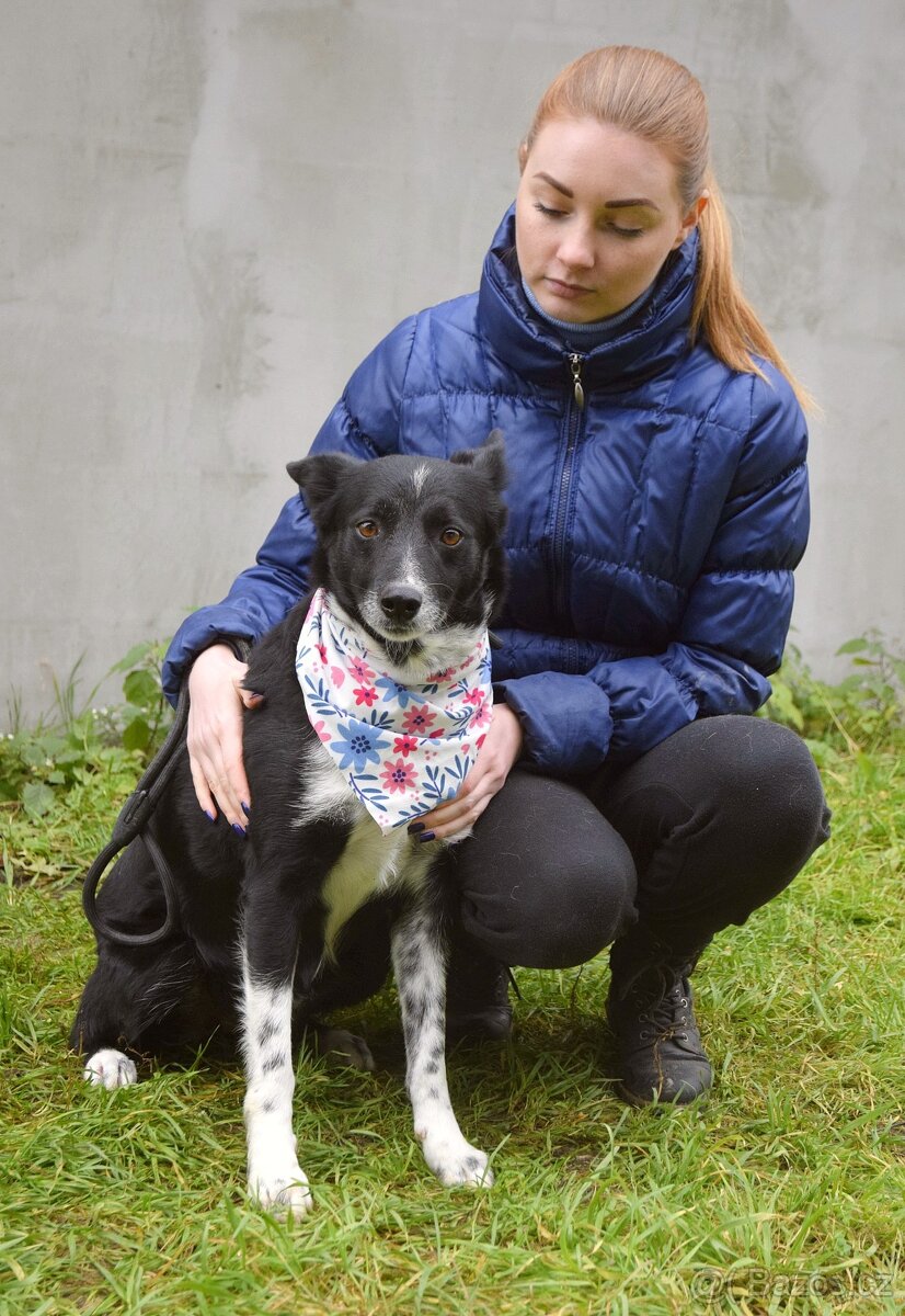 Naja hledá domov - 5