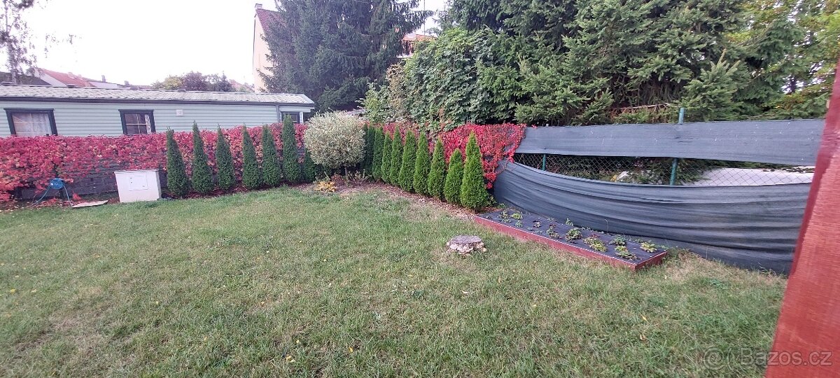 Zahrada 509m² Radnice u Rokycan - 5