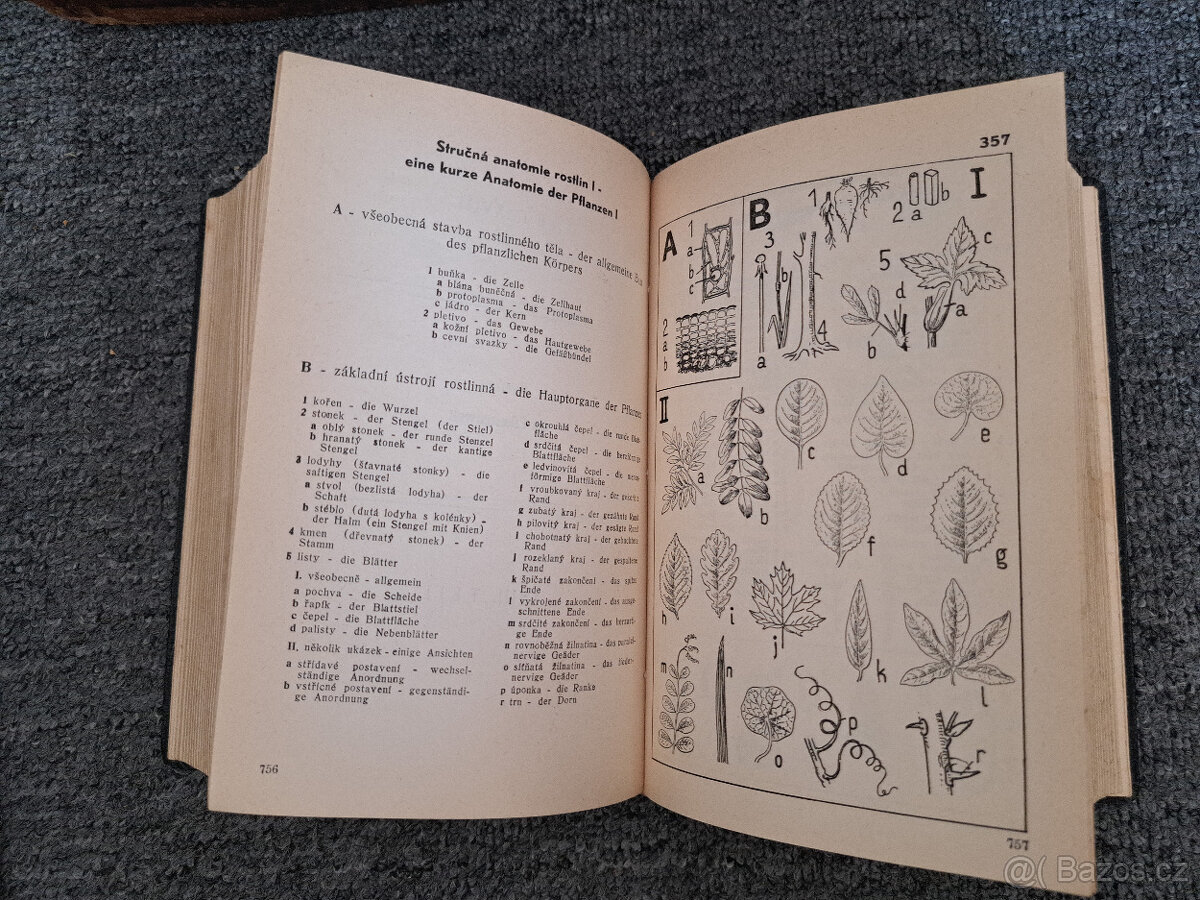 Nový Orbis Pictus - 5