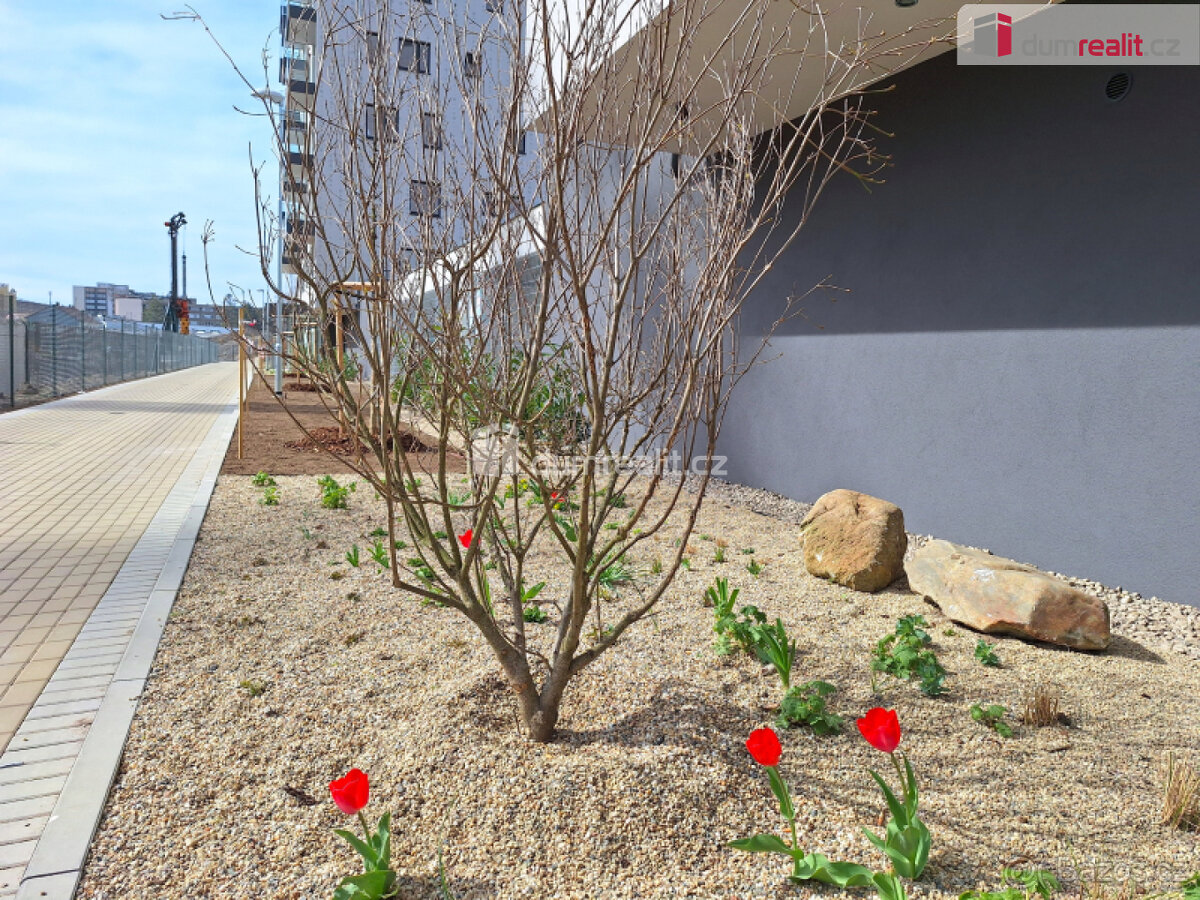 pronájem garážového stání P9 Vysočany Pod Harfou - 5