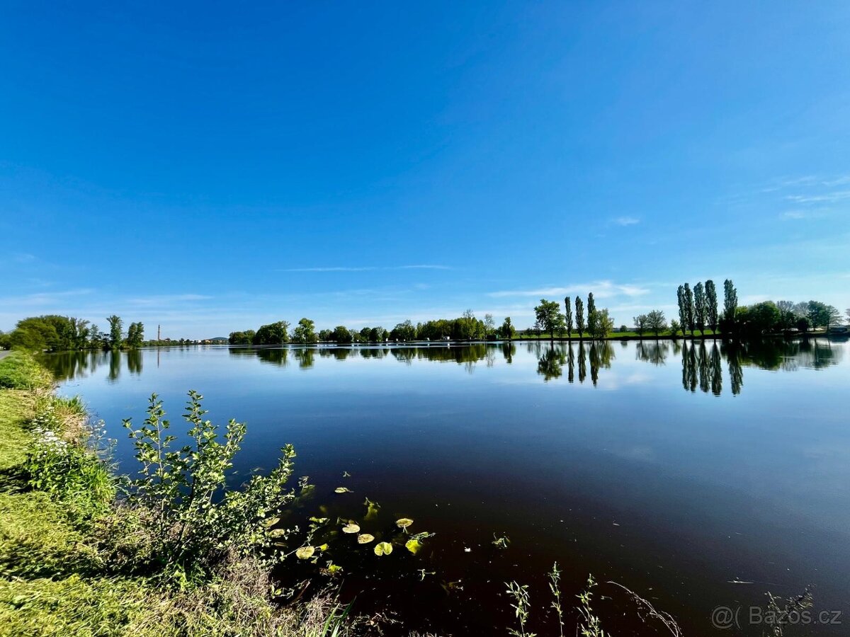 Zahrada u Labe/Pozemek u Labe/Pozemek u vody - 5