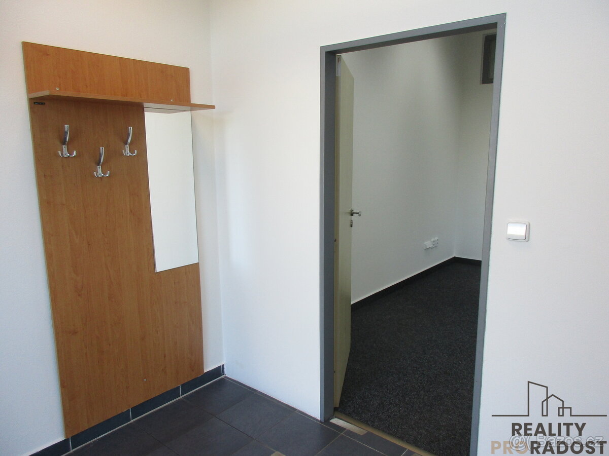 Pronájem nebytových prostor ve Veselí nad Moravou - 5