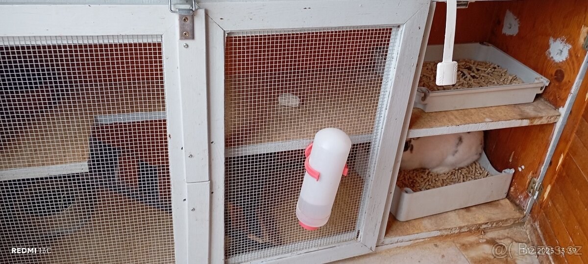 2 zakrslí králíčci s klecí - 5