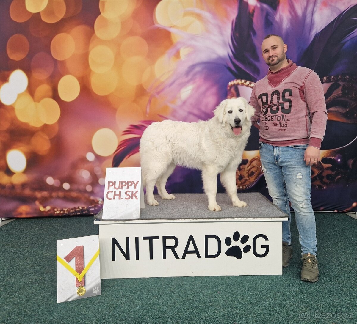 Slovenský čuvač - 5