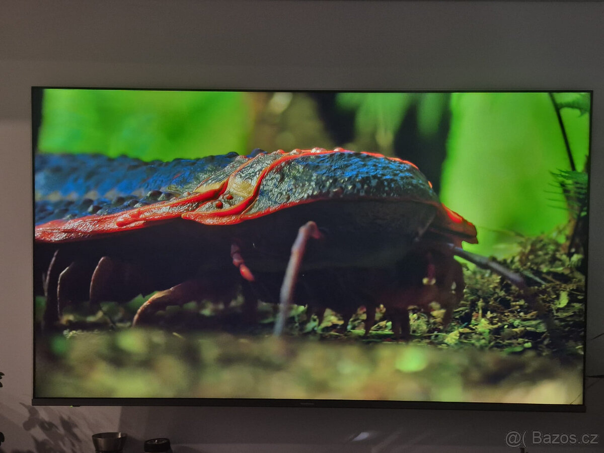 Televize Panasonic 65" - 5