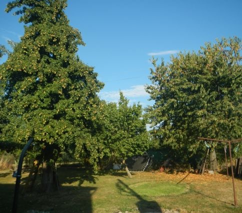 1/4 podíl na R.D. č.p. 43 a pozemcích, LV 190 v kat. úz. Pod - 5