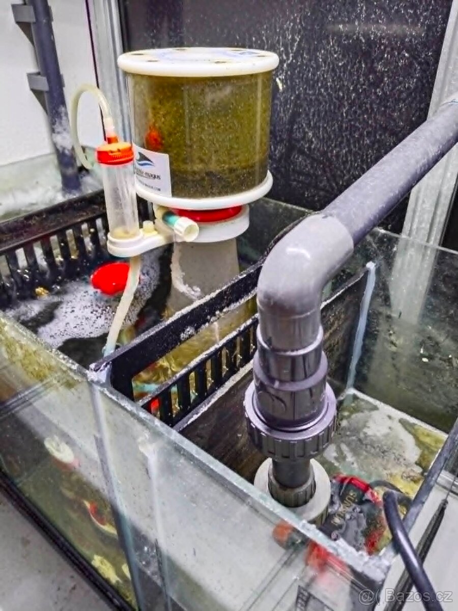 Mořské akvárium - 5