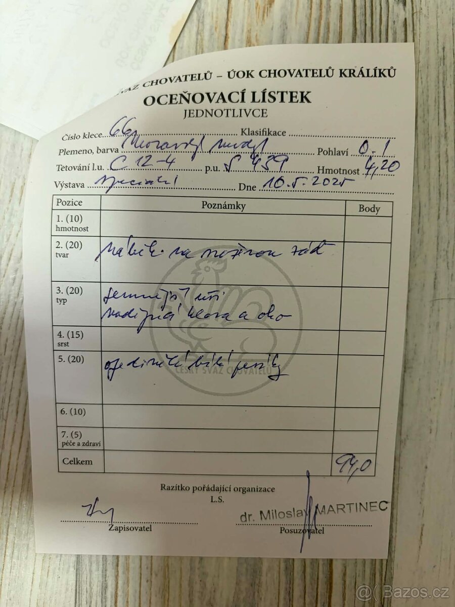 Moravský modrý-samice - 5