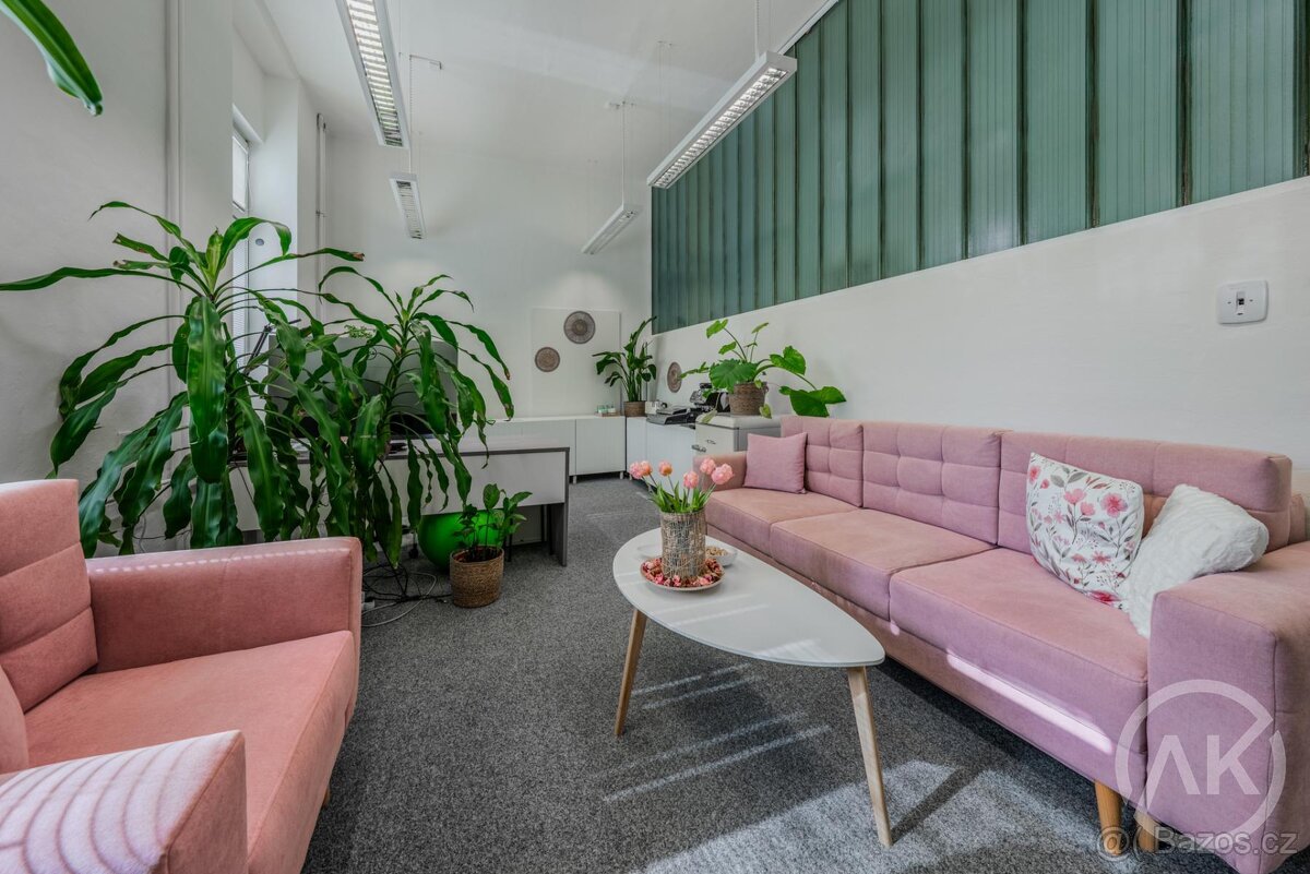 Pronájem dostupné a reprezentativní kanceláře, ul. Ruská - 5