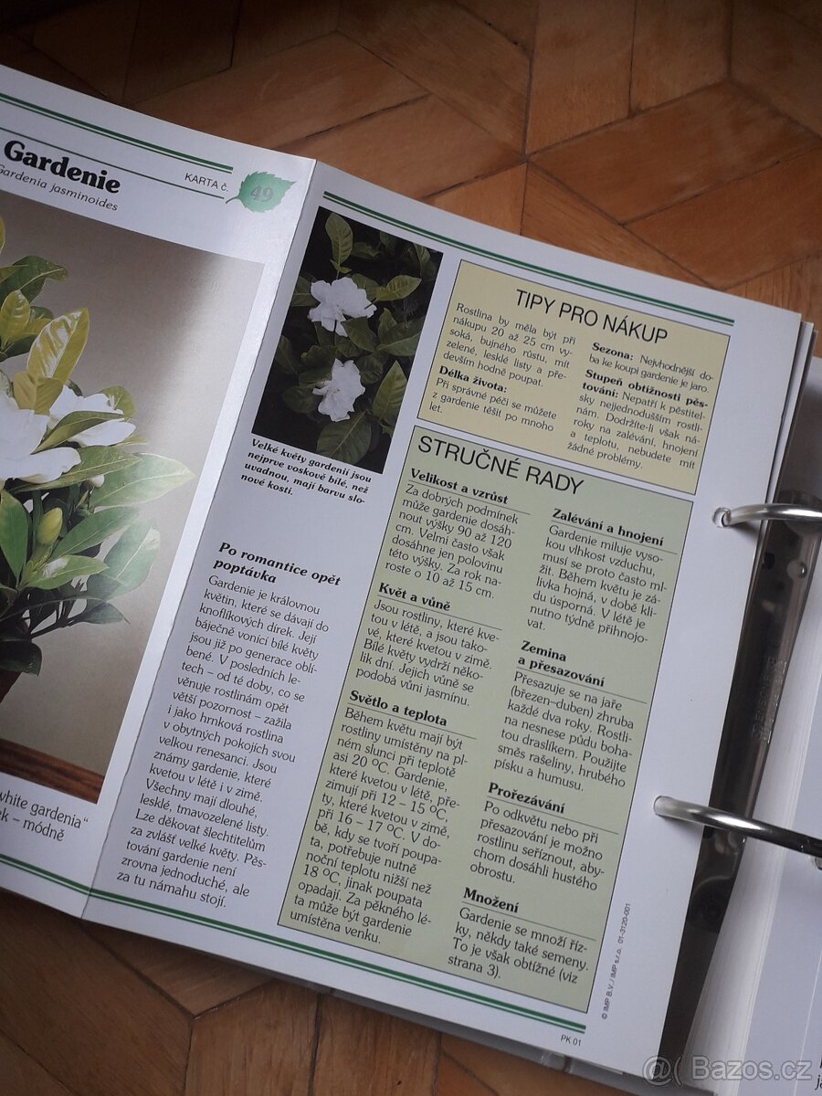 Květiny od A do Z - 5