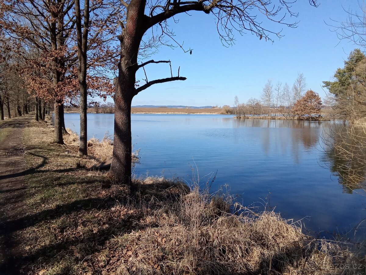 Správce nemovitosti - asistentka. - 5