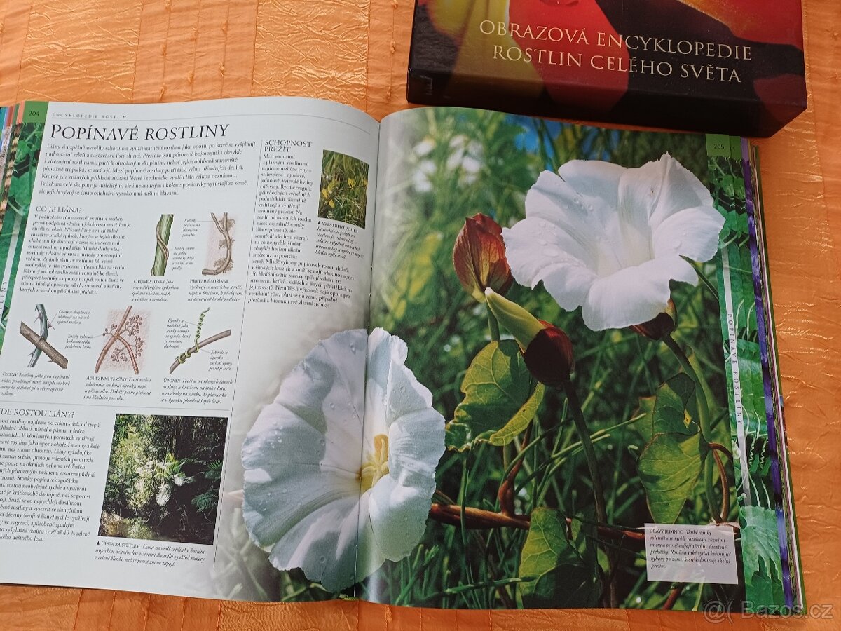Rostliny-. NOVÁ - 5