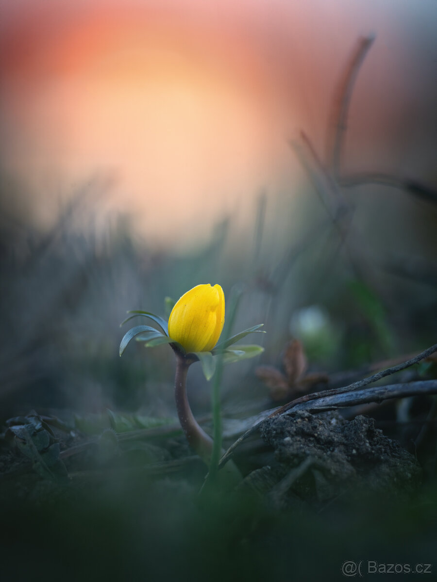 Prakticar 135/3,5 PB - 5