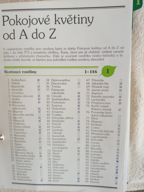 Pokojové květiny od A do Z - 5