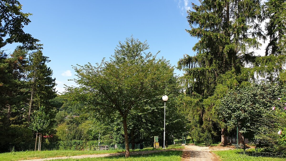 Byt 2+1, 69 m2, lodžie, výtah, sklepy, parkování. - 5