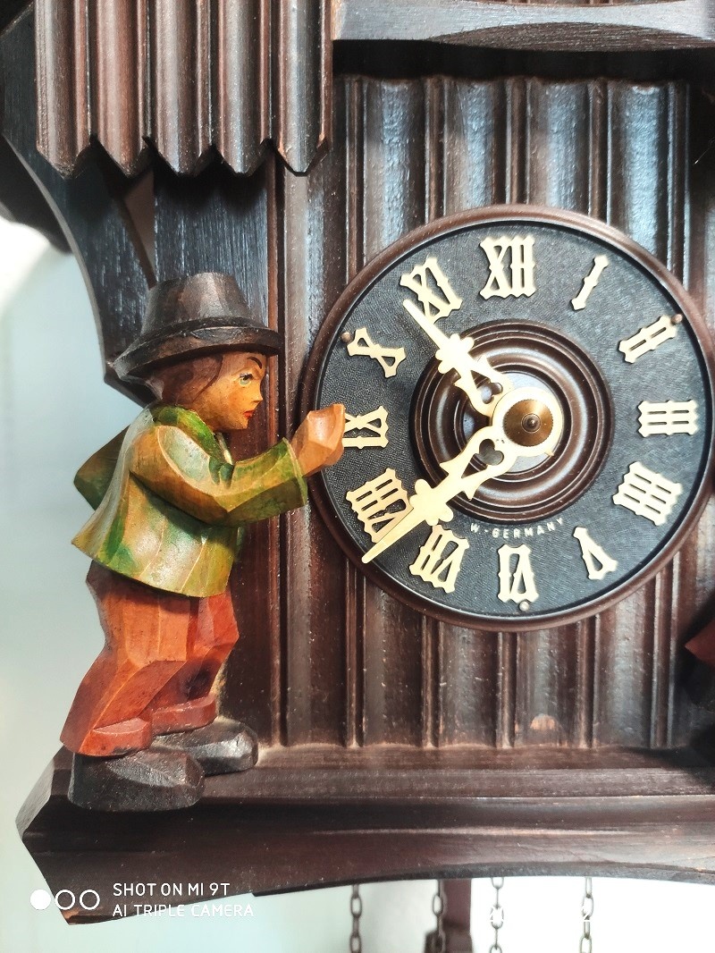 Starsi, kukacky, Schwarzwald, funkcni - 5