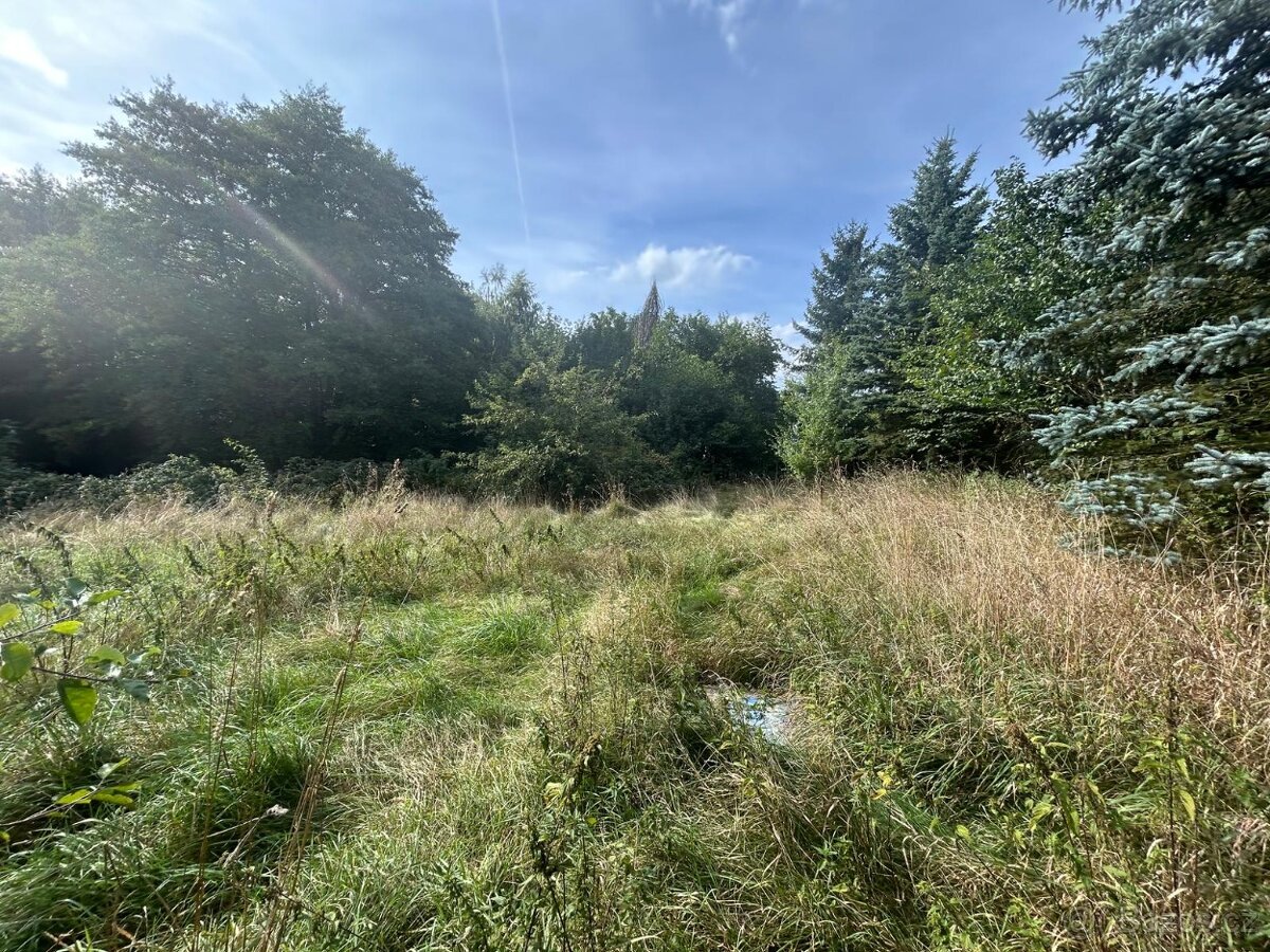 Dům 4+1 ve Štědré, pozemek 2064 m2 - 5