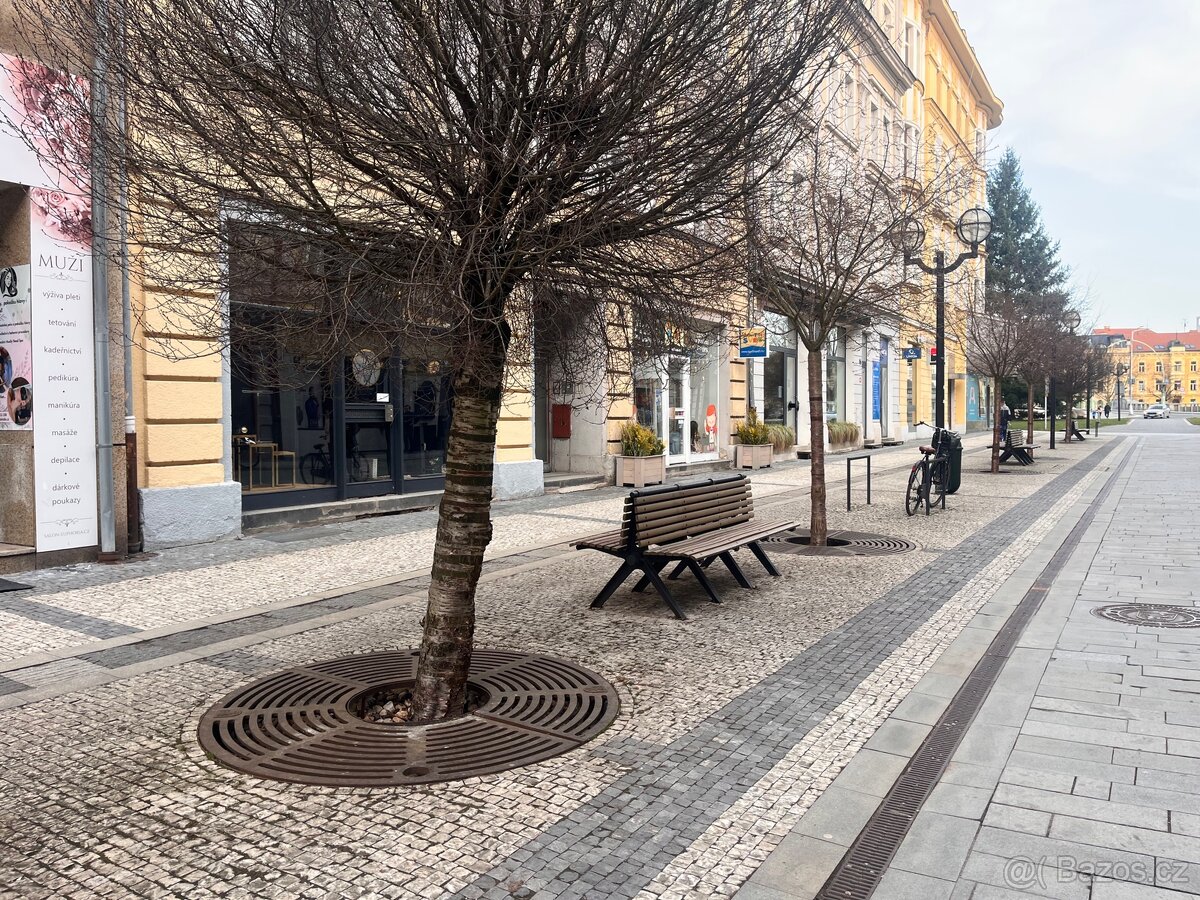 Pronájem Nebytových prostor 209 m2 - 5