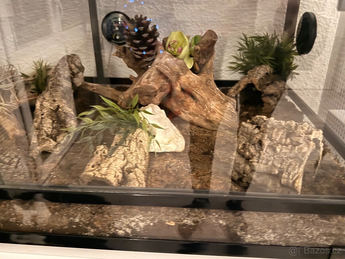 Terárium ReptiPlanet vybavené. - 5