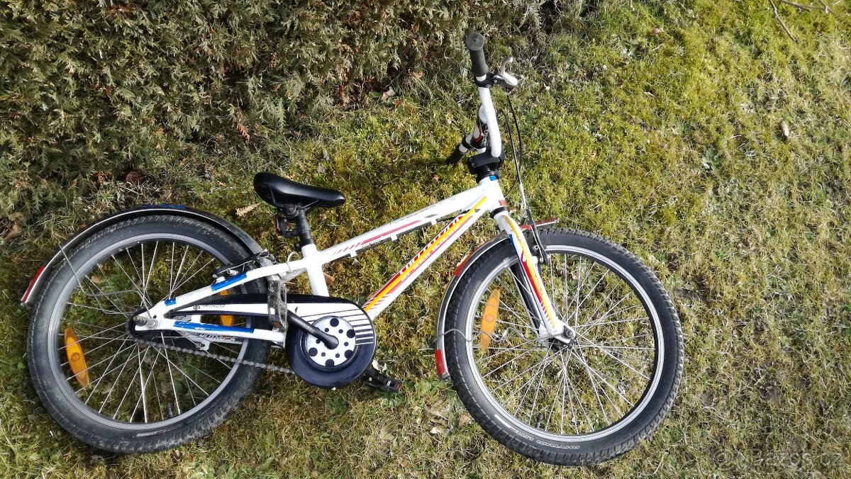 Specialized hotrock 20 - 5