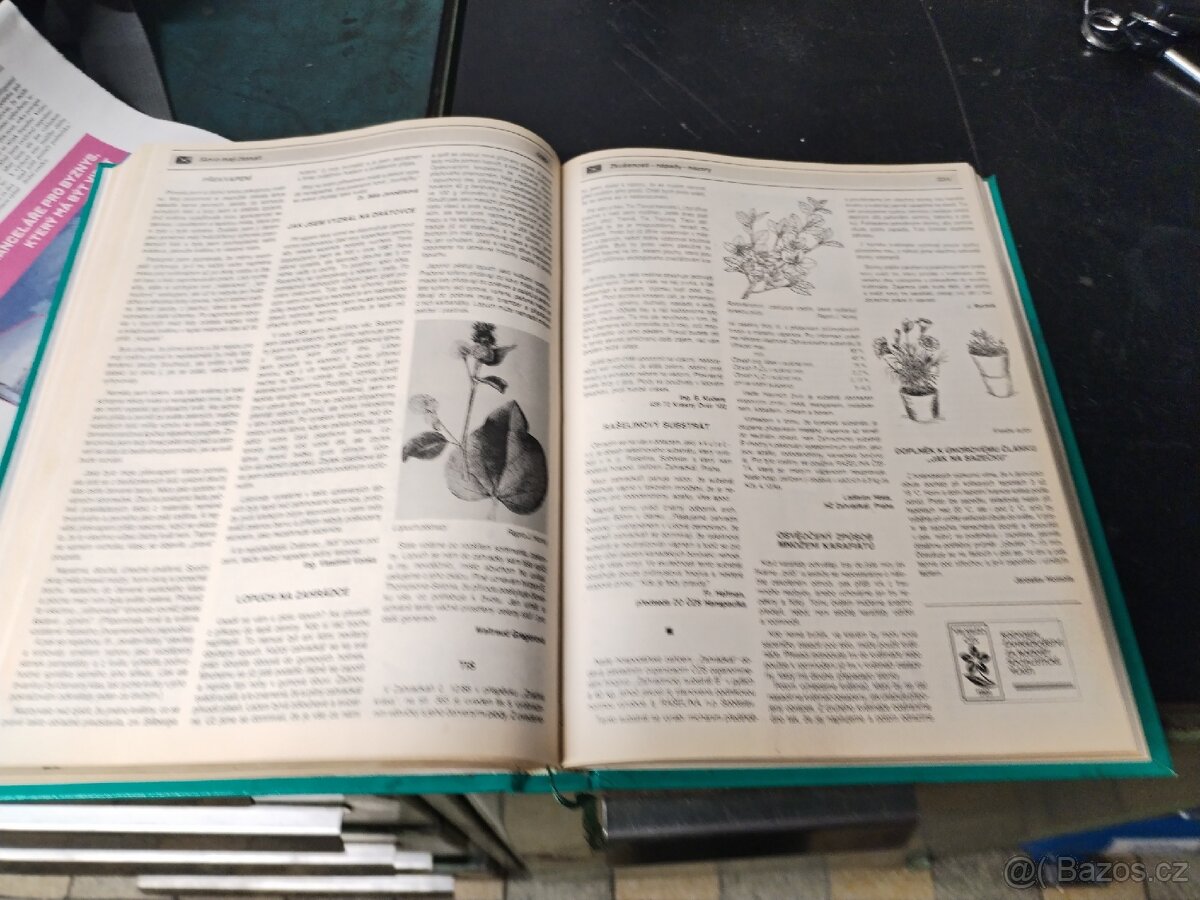 Zahrádkář celý ročník 1989 - 5