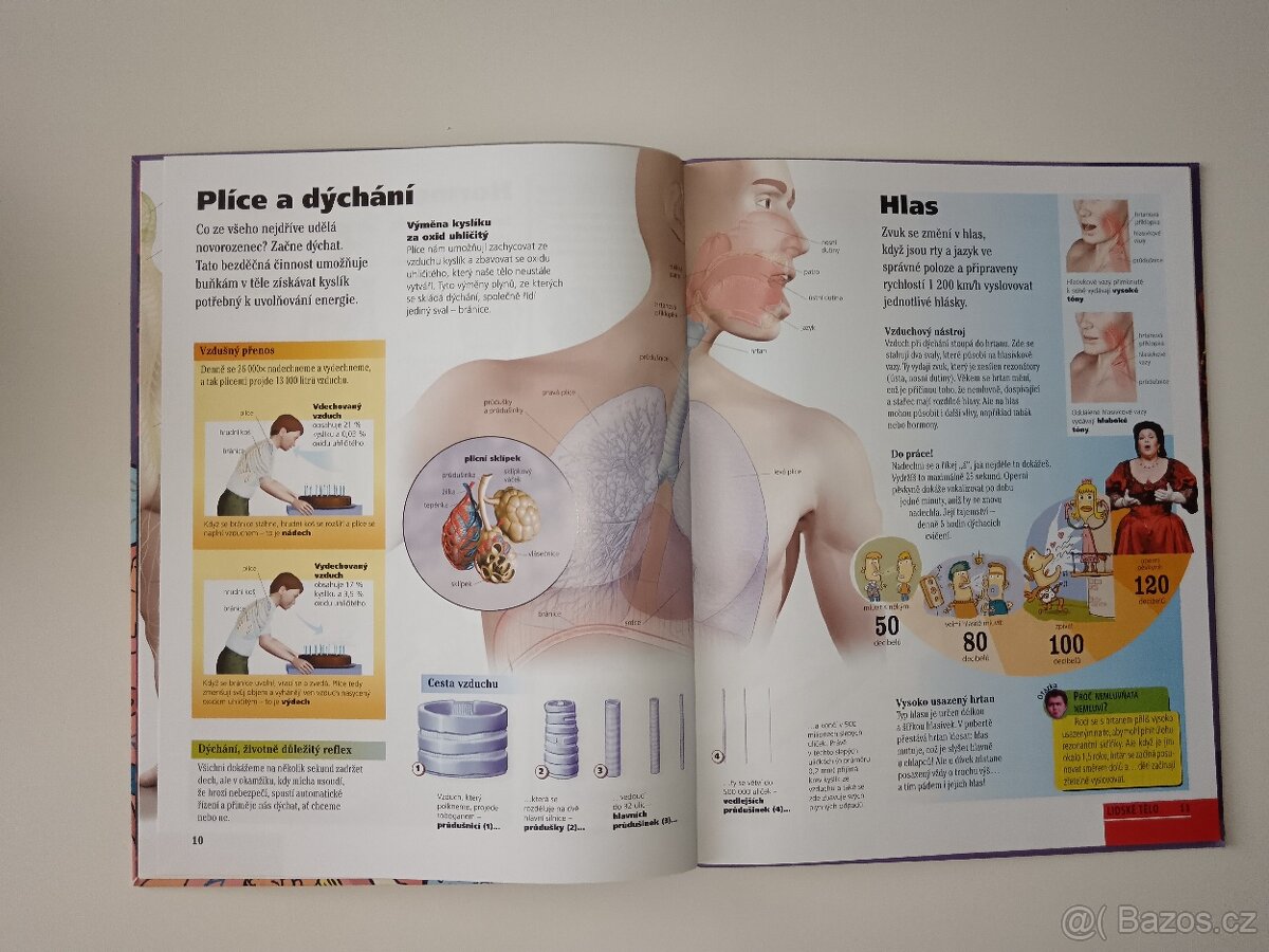 Lidské tělo Dokéo nové - 5