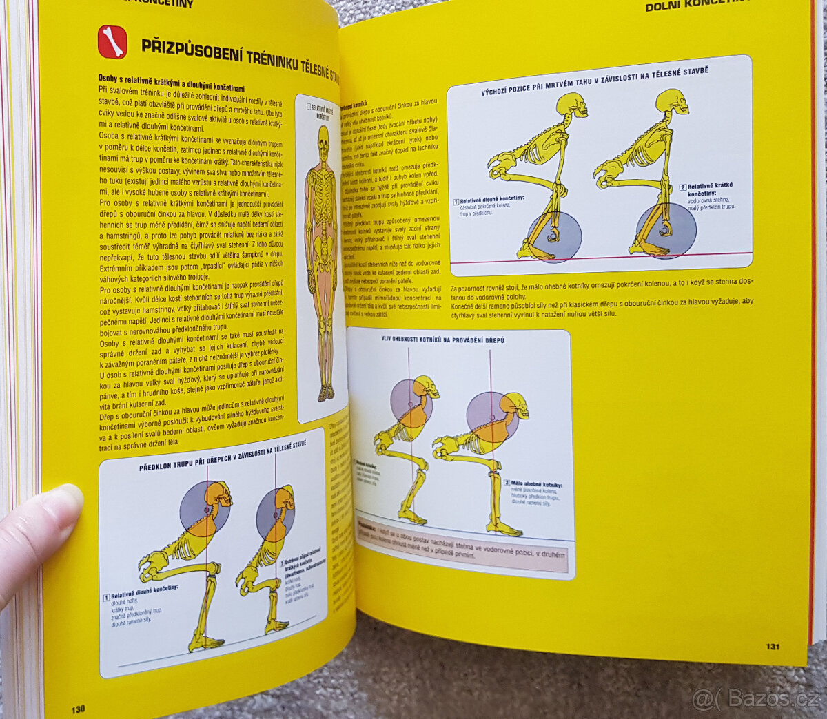 Posilování anatomický průvodce (Delavier) - 5