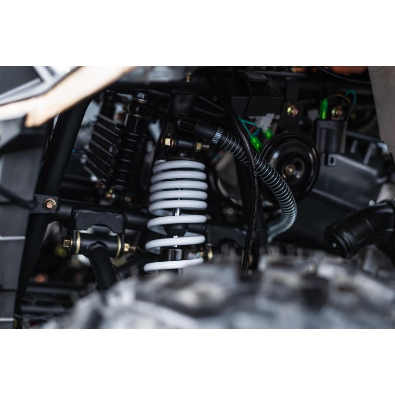 Čtyřkolka Leramotors RFZ 250, T3b, zelená