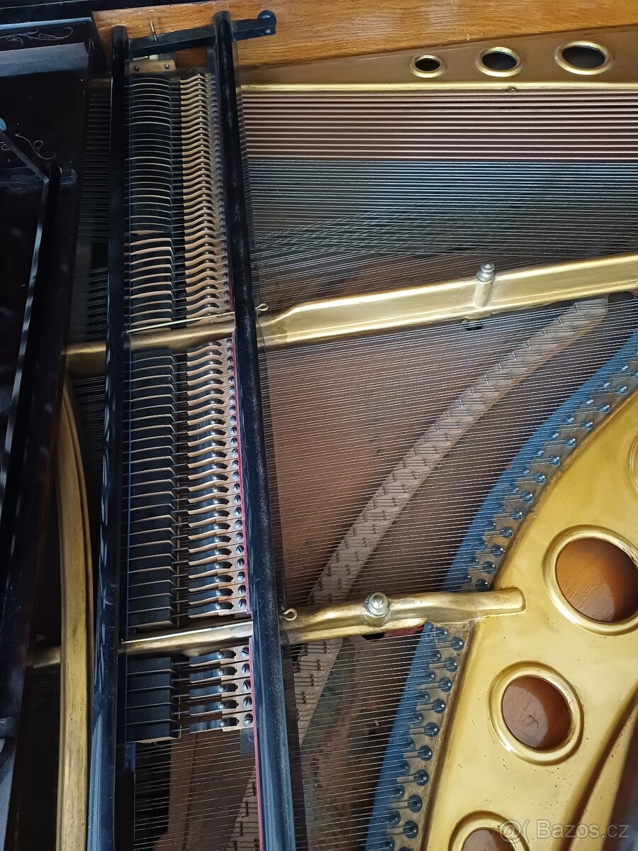 Piano ANT PETROF - 5