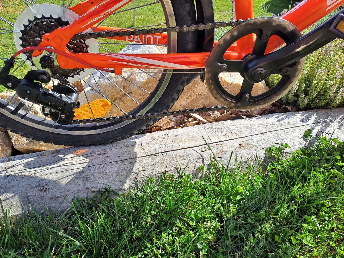 Superior Paint 20" - TOP STAV - 5