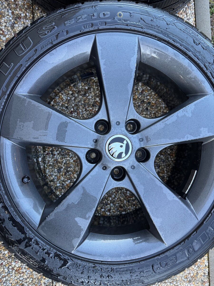 Alu kola 5x112 Pegasus R17 - 5