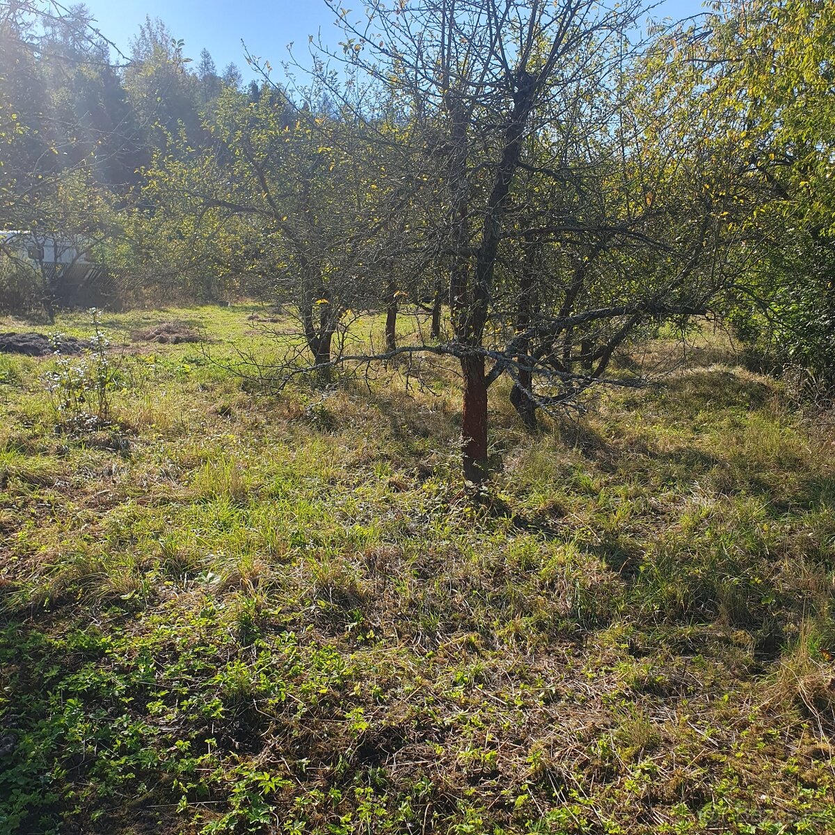 Prodám krásný pozemek za obcí Smolnice u Loun - 5