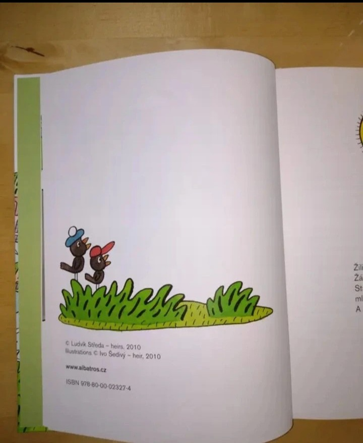 Kniha Kosí bratři - 5