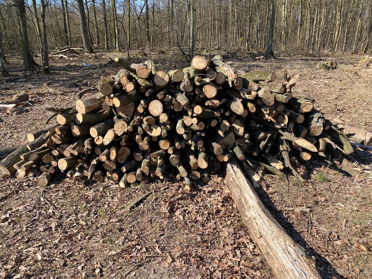 Prodám tvrdé palivové dřevo dub - 5