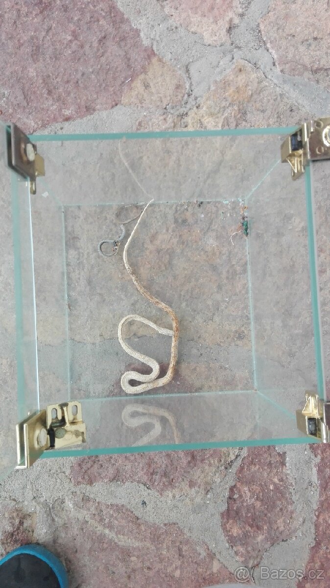 Akvárium, terárium - 5