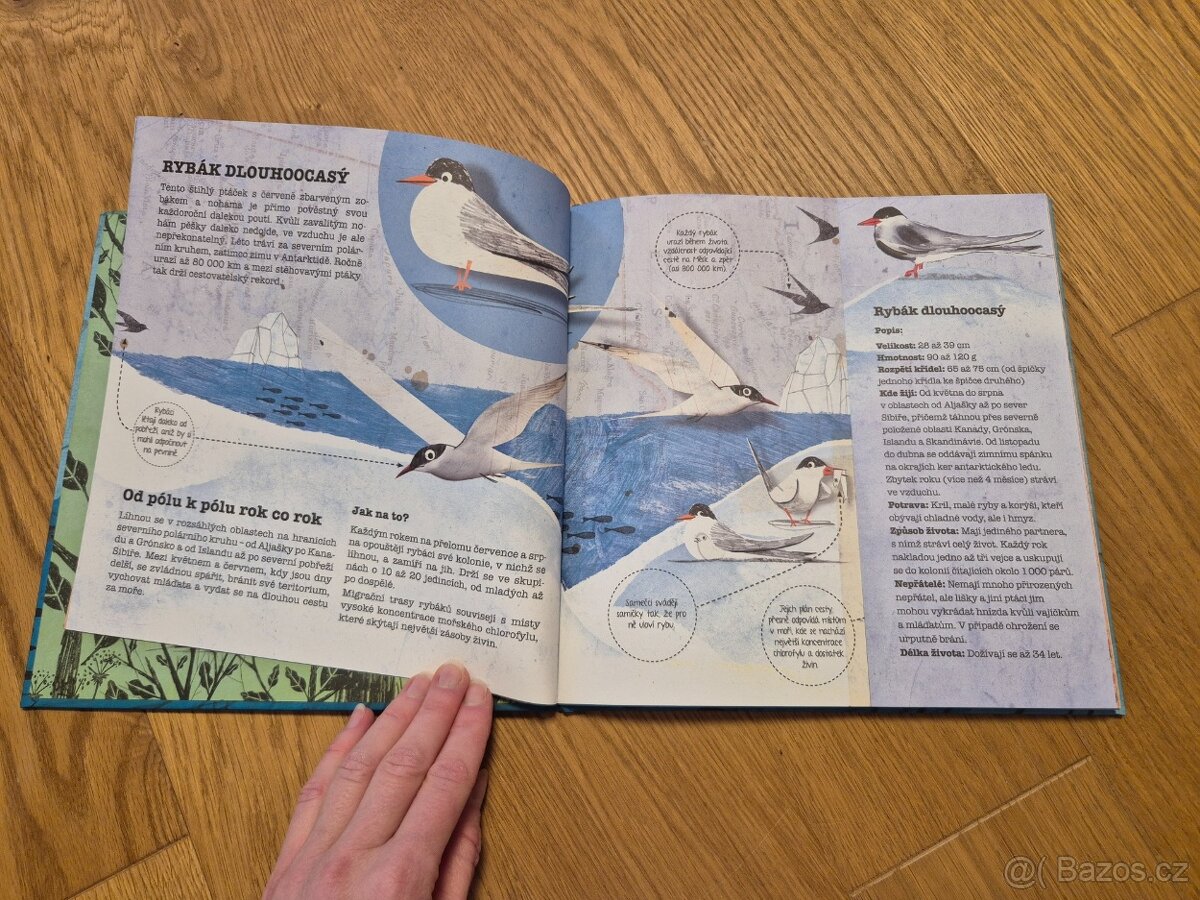 Knížka Zvířecí cestovatelé - 5