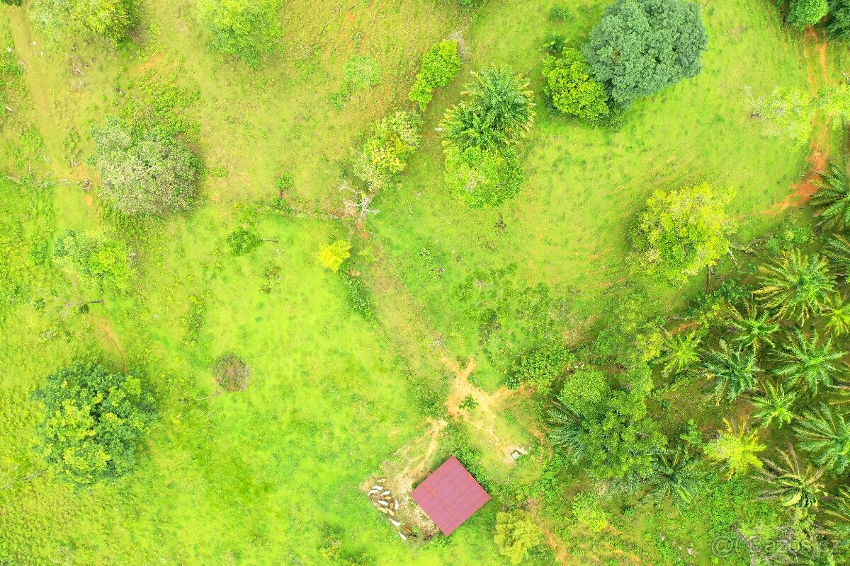 Farmy Kostarika Rio Claro - 5