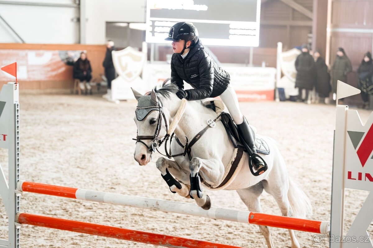 Nádherný pony valach - 5