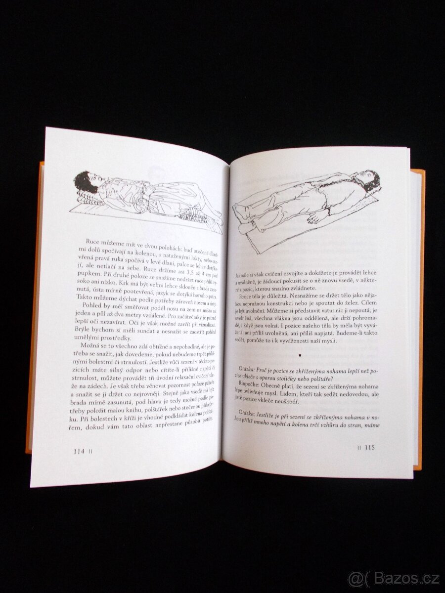 Krocení tygra - Tibetská učení pro všední život - 5