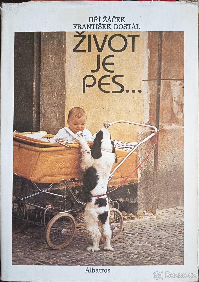 Knihy pro mládež a děti - 5
