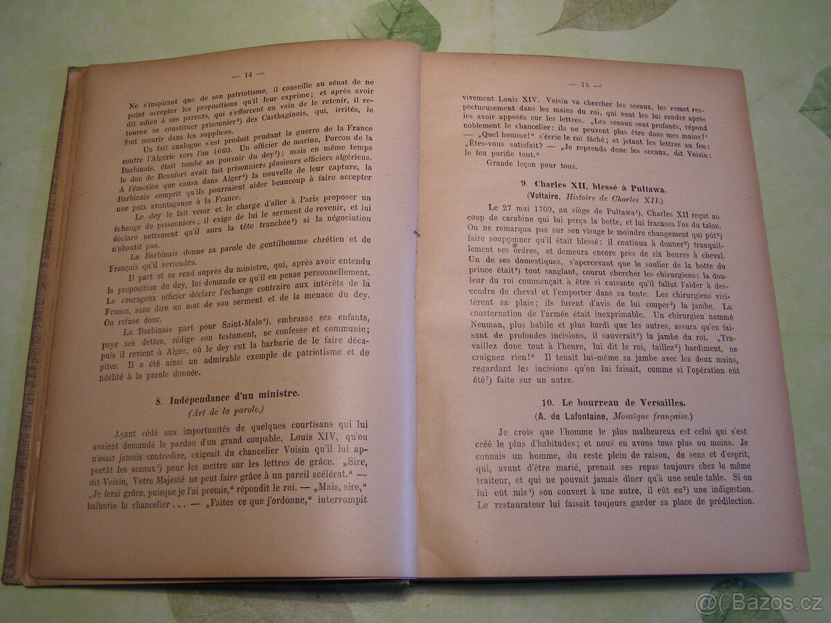 Chresomanthie francais - 5