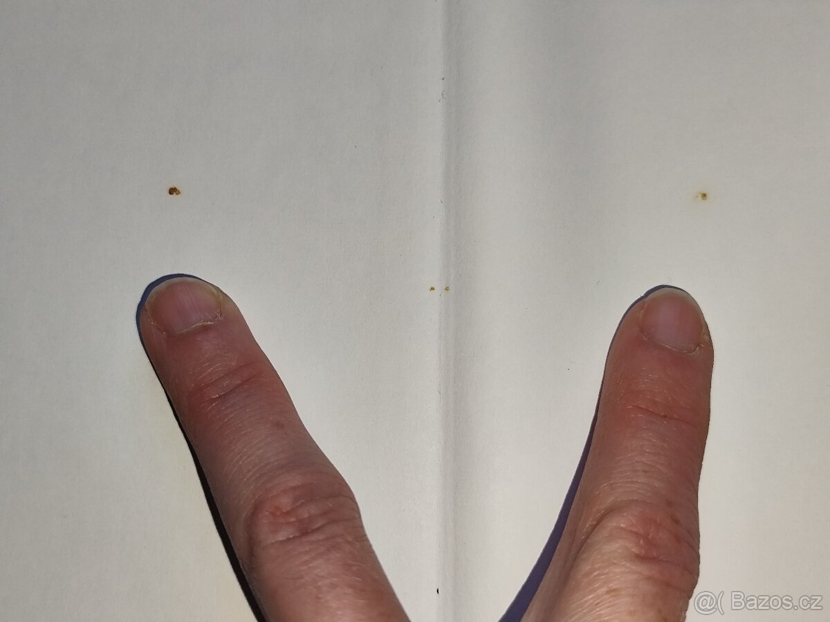 Miloš Kopecký - Důvěrný portrét - 5