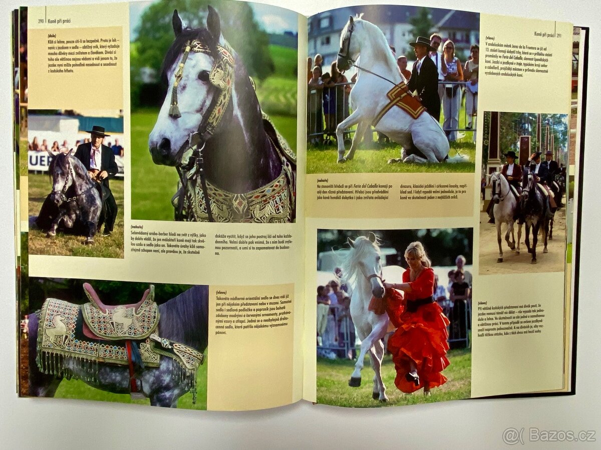 Obrazový průvodce koně - 5