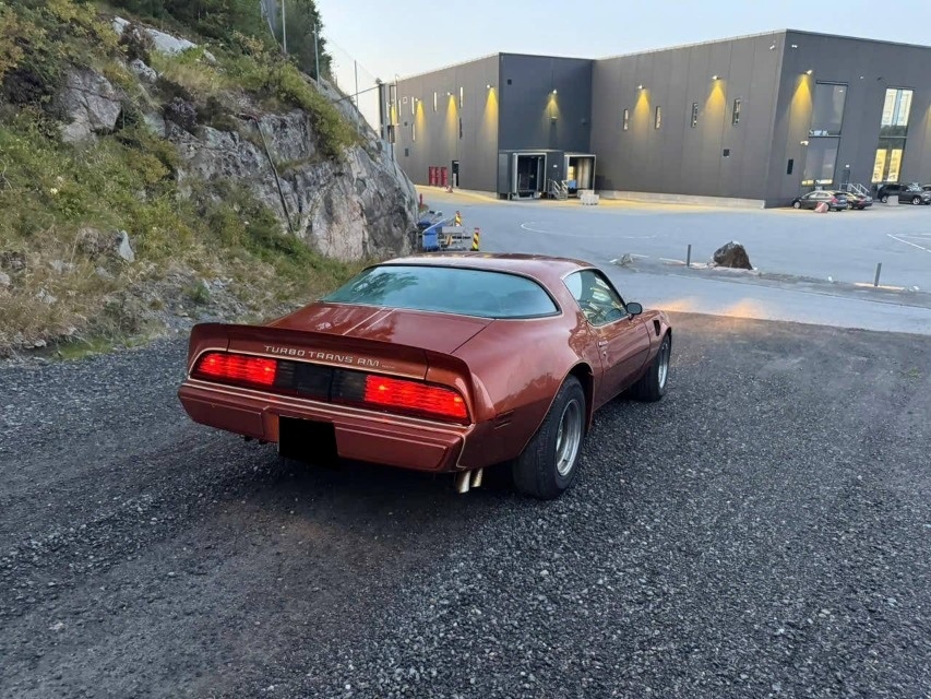 Pontiac Firebird Trans Am z roku 1980 - 5