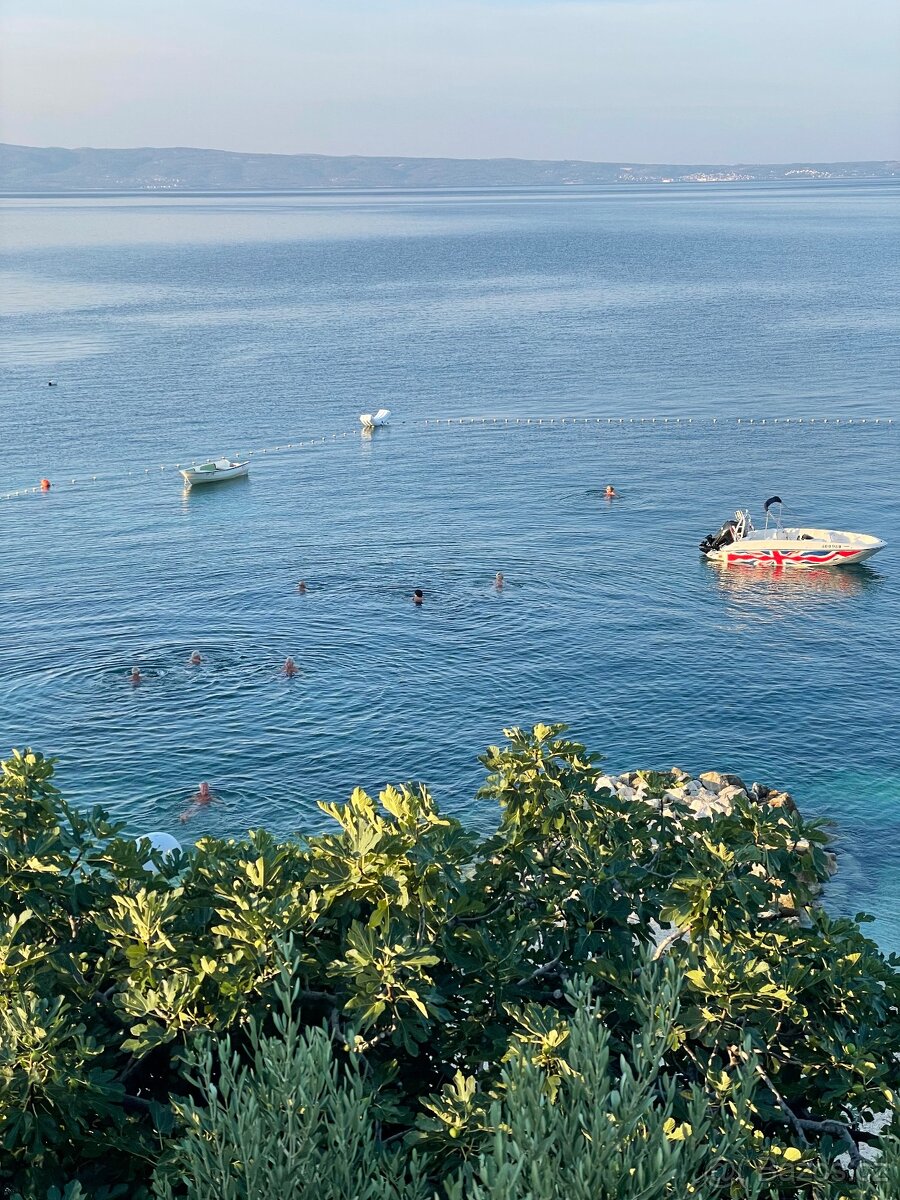 Motorový člun loď - 5