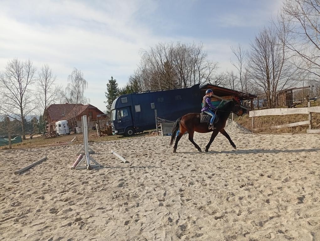 Kladrubska klisna 4 roky - 5