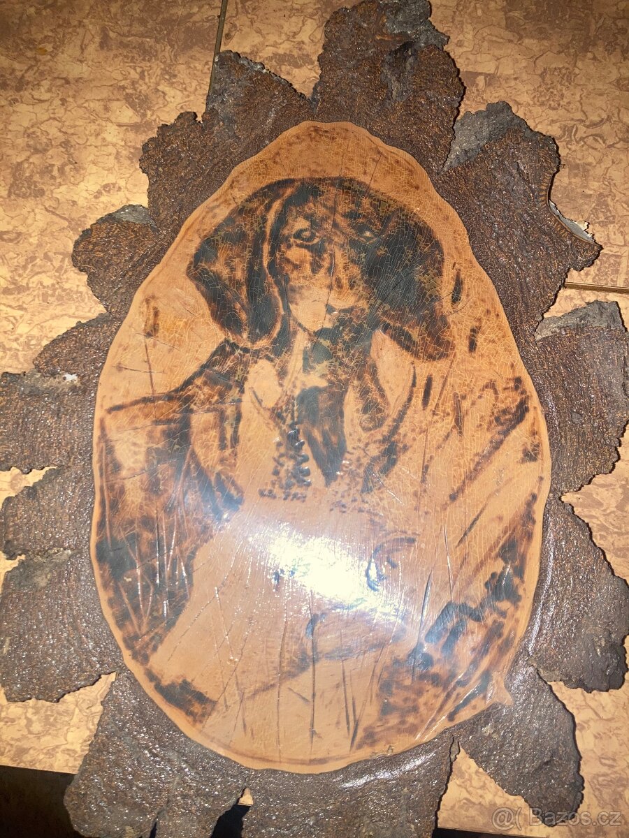 Daněk,myslivost - 5