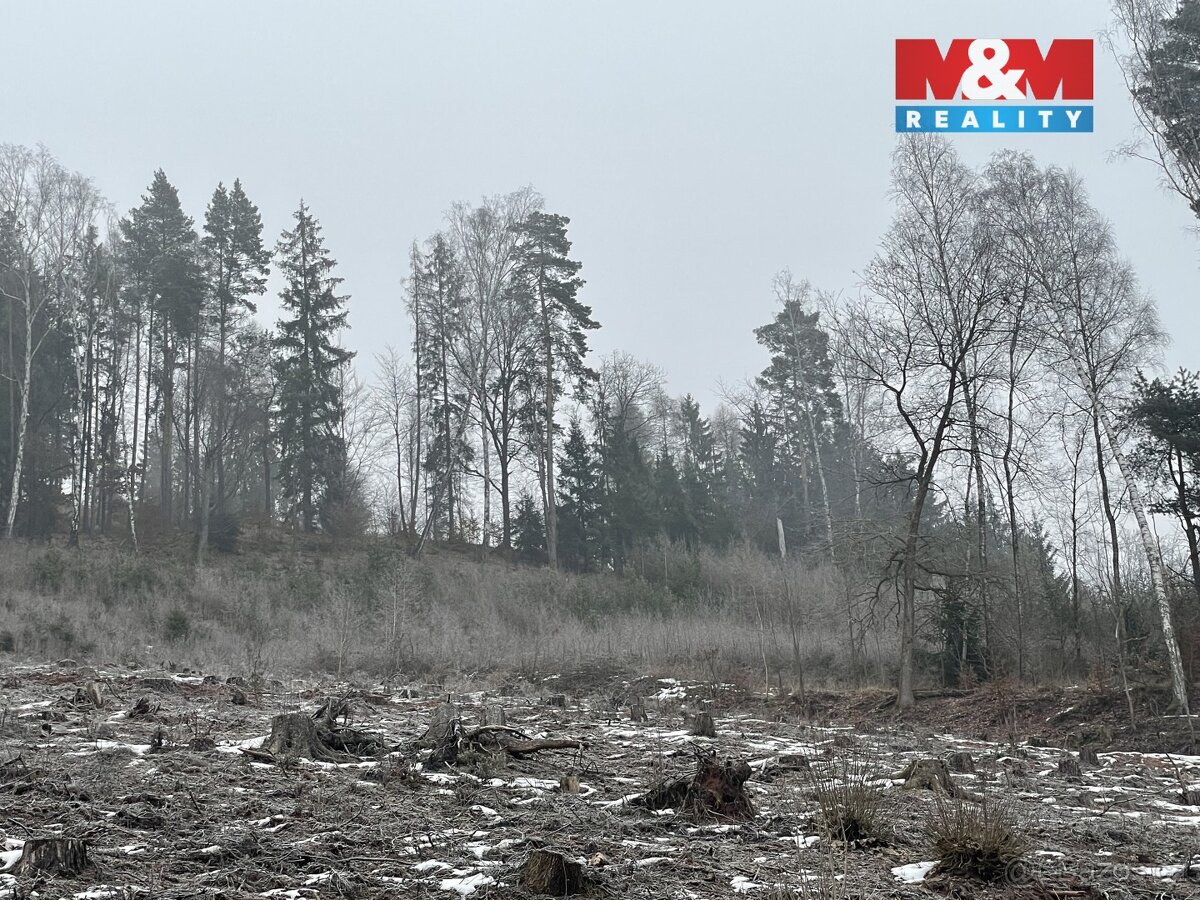 Prodej, les, 20194 m2, Pecka - 5